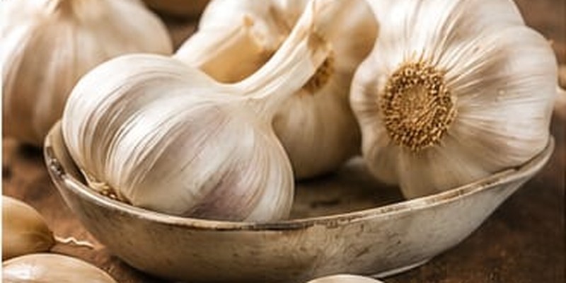 Garlic