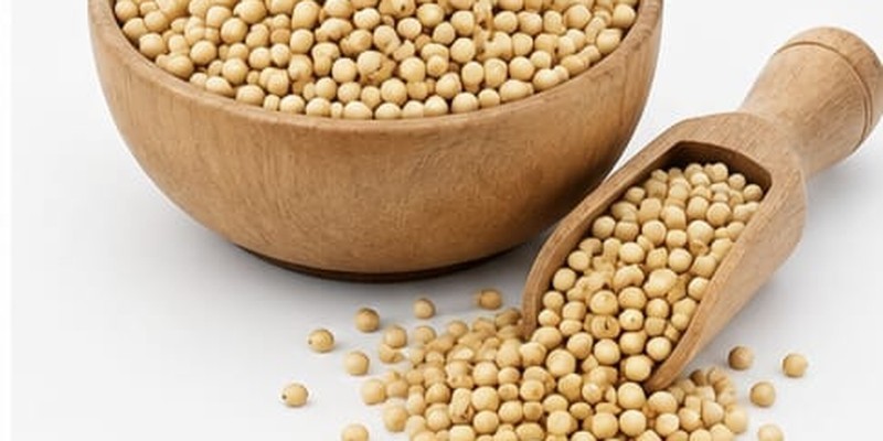 Jowar (Sorghum)